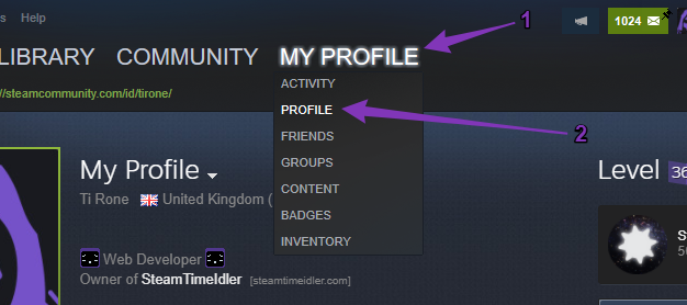 Customizing your Steam Profile - Formatting and adding links to